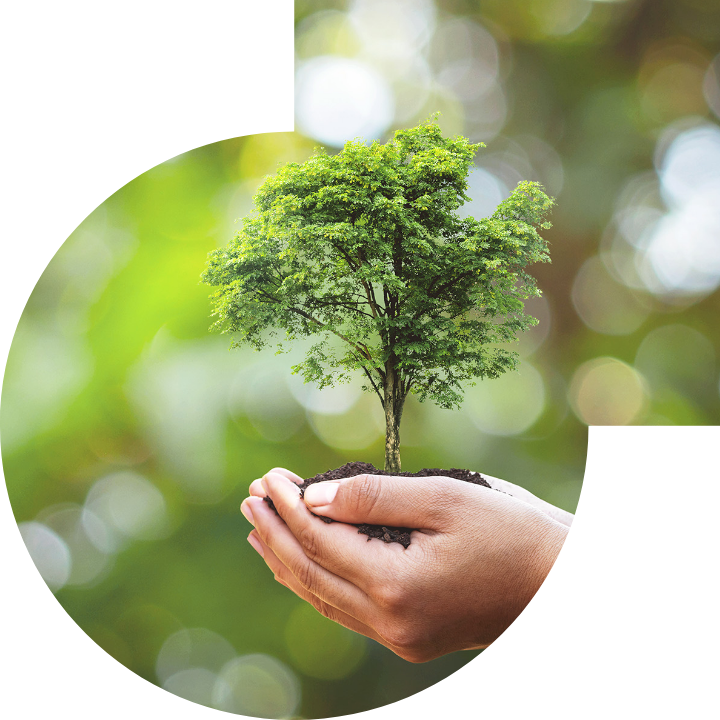 关怀人类、文化、环境与社会